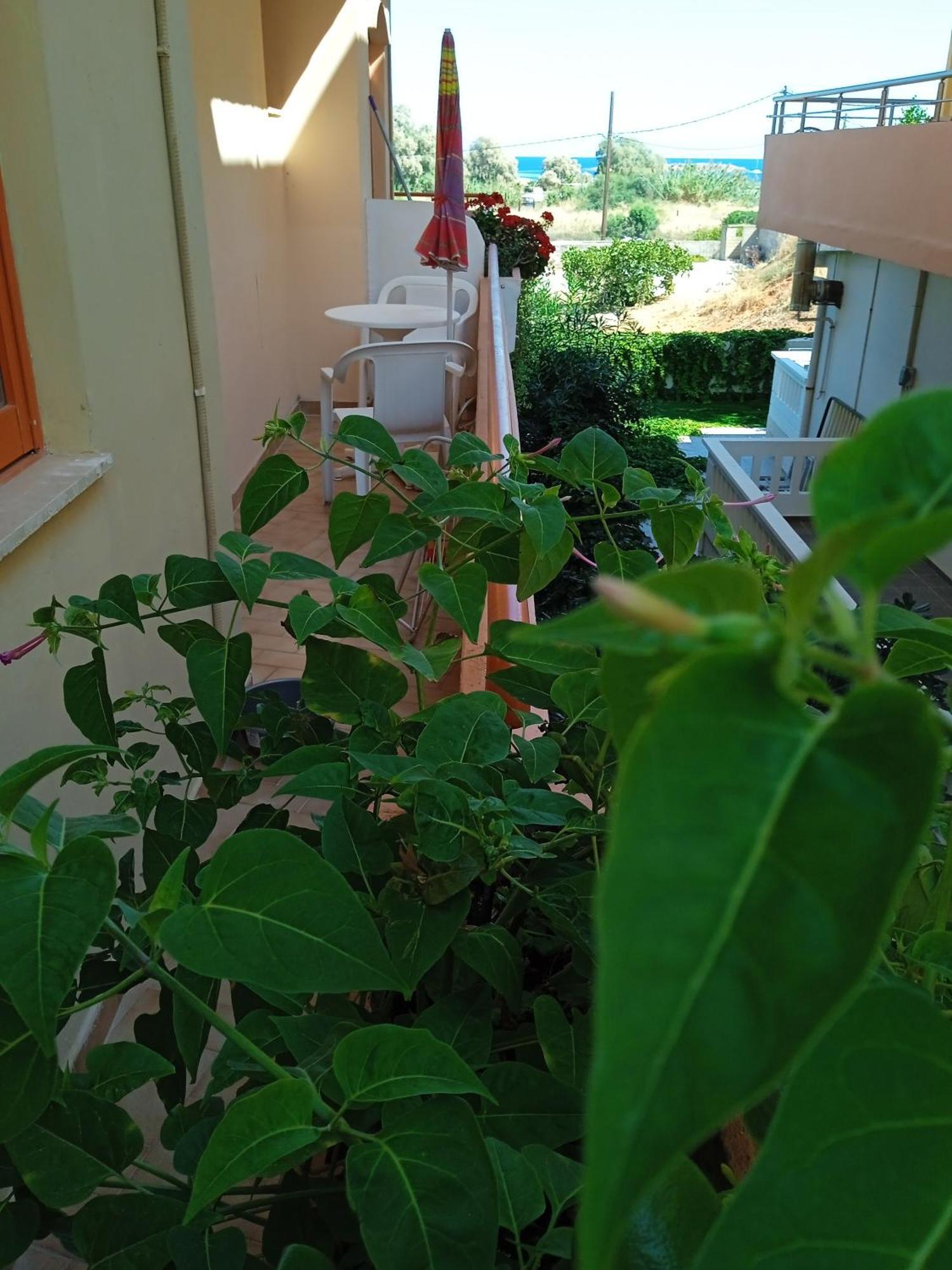 Ilona Apartments Chania Kato Daratso Værelse billede