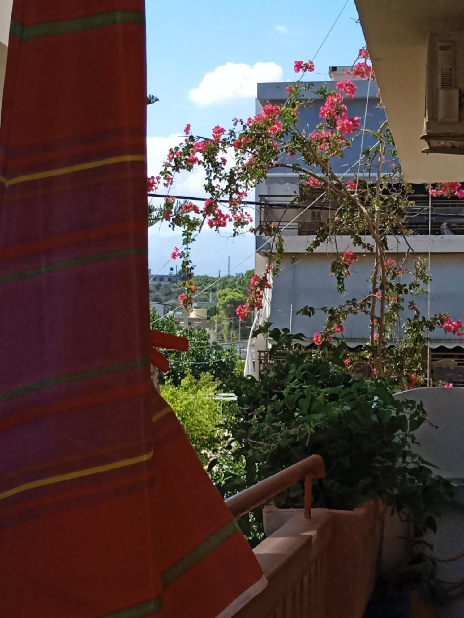 Ilona Apartments Chania Kato Daratso Værelse billede