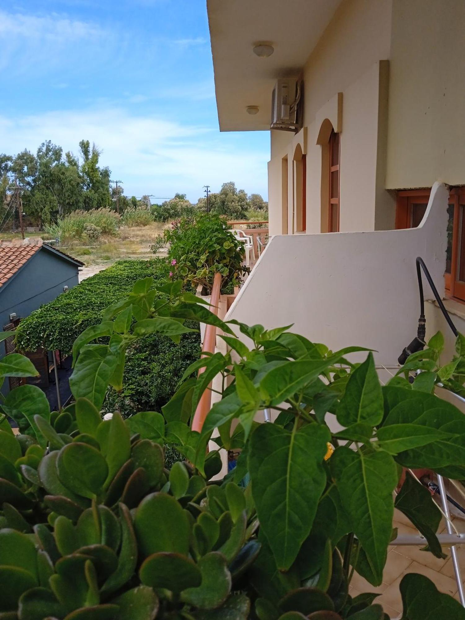 Ilona Apartments Chania Kato Daratso Værelse billede