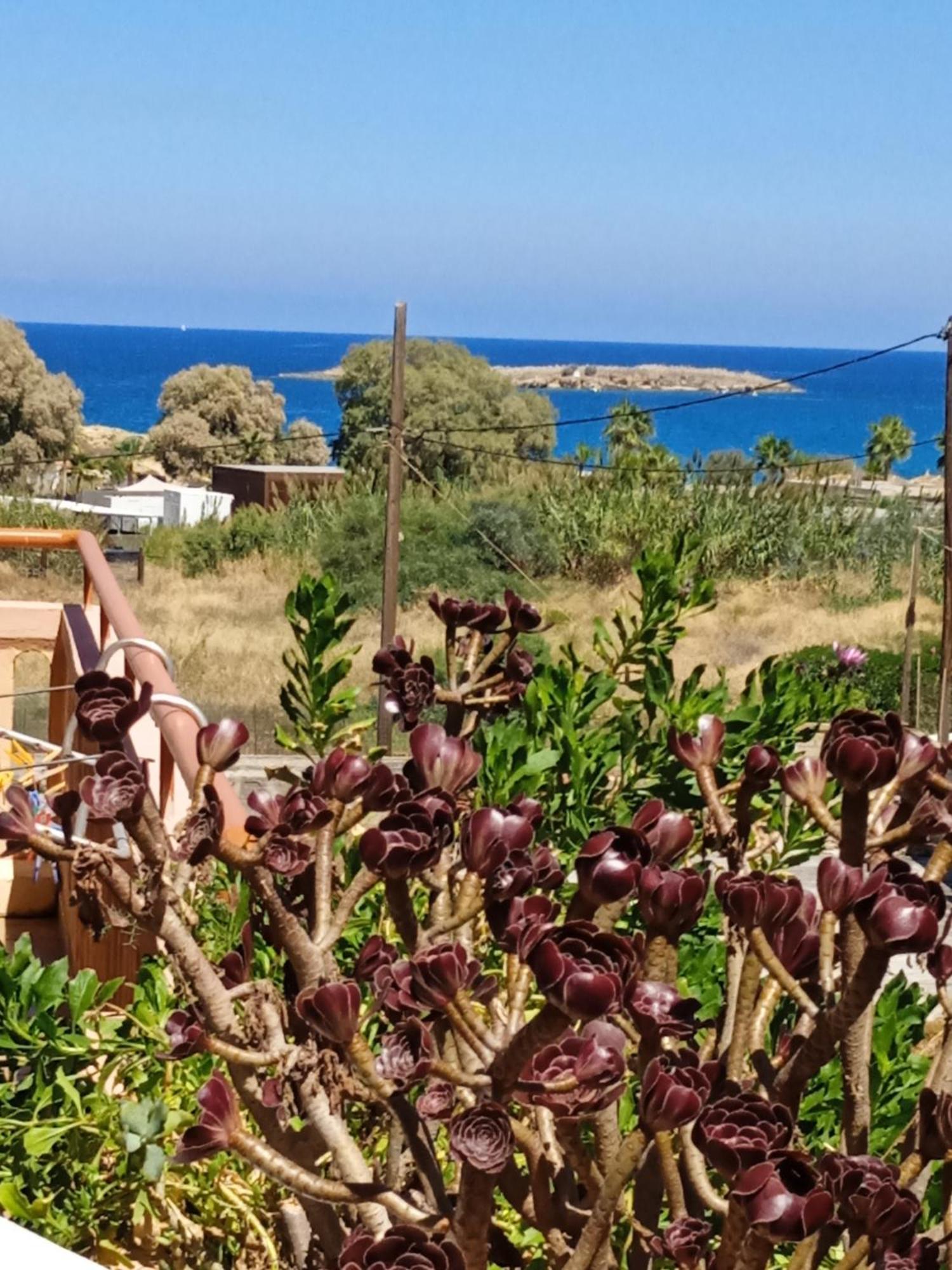 Ilona Apartments Chania Kato Daratso Værelse billede