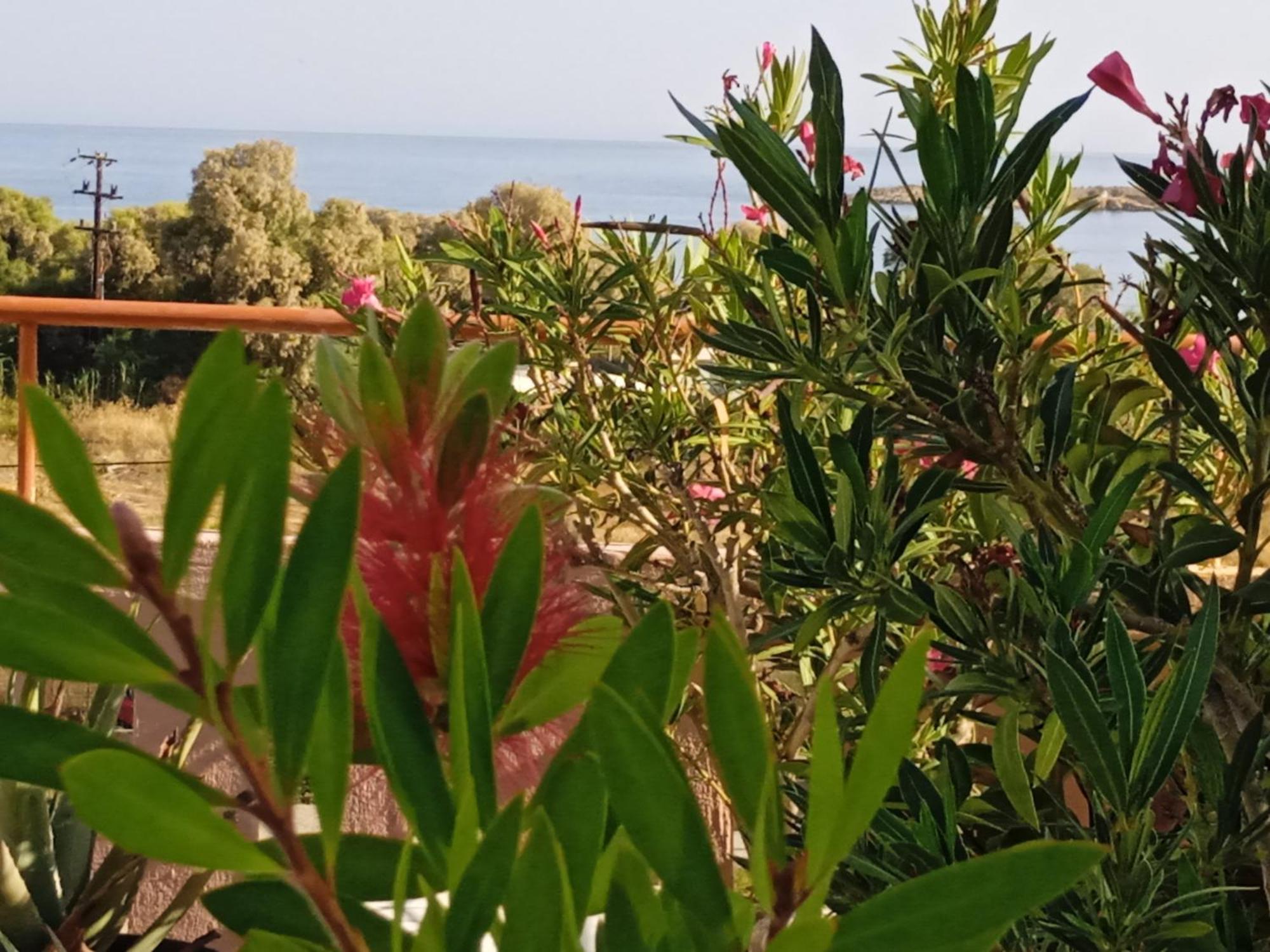 Ilona Apartments Chania Kato Daratso Værelse billede