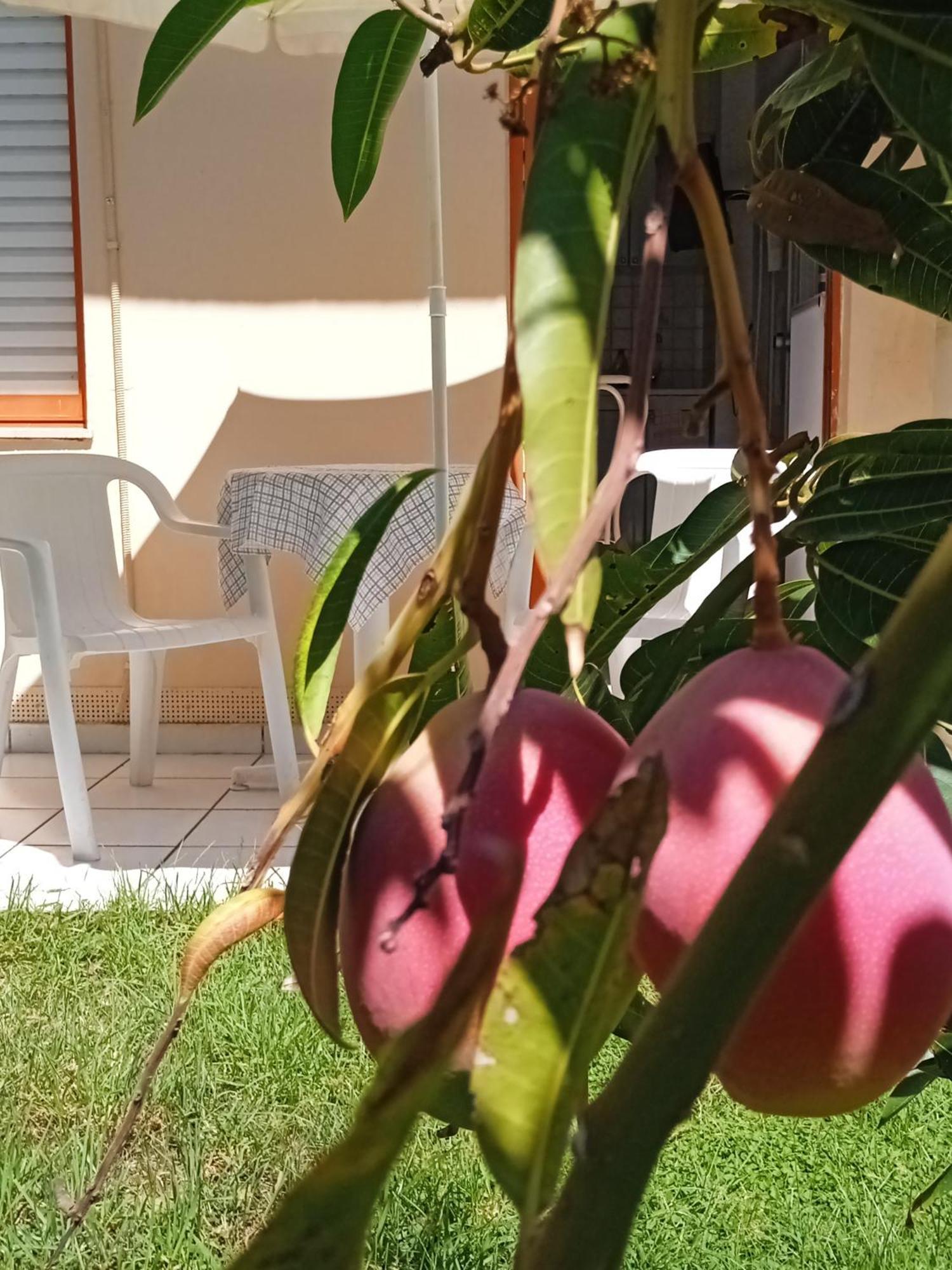 Ilona Apartments Chania Kato Daratso Værelse billede