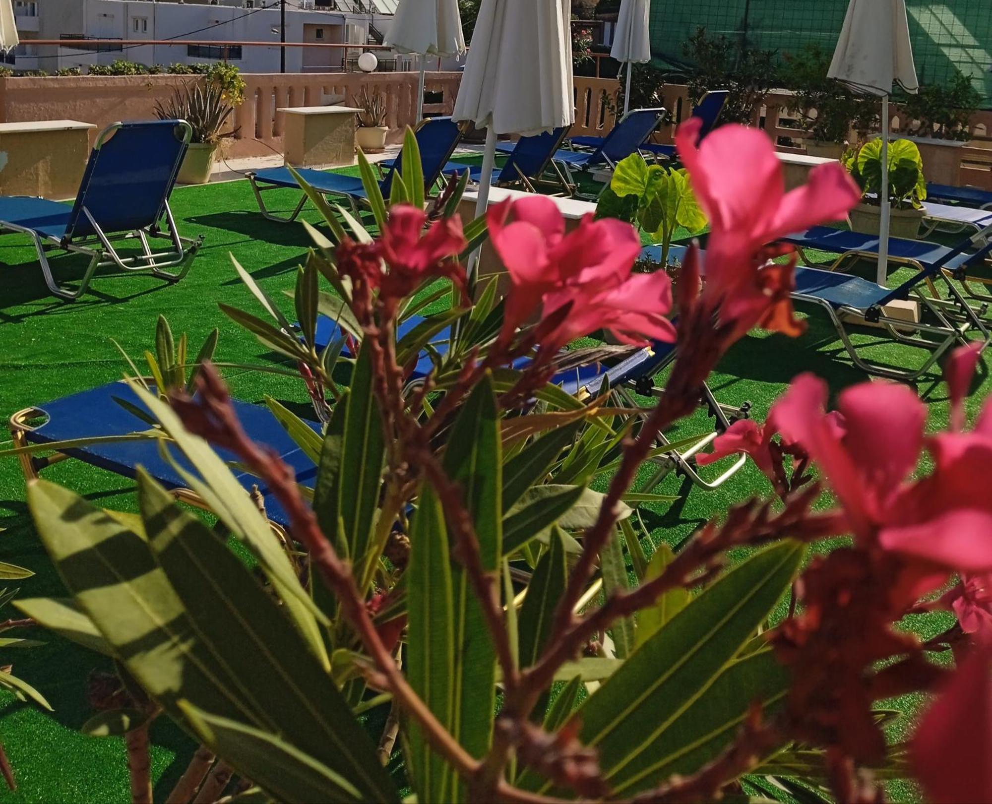 Ilona Apartments Chania Kato Daratso Værelse billede